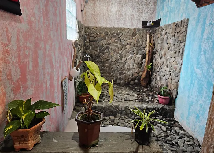 Hostel Loca